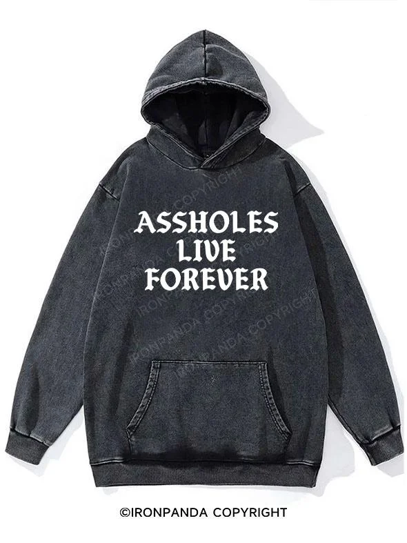 Hoodie For Promotional Sales-Assholes Lift Forever Washed Gym Hoodie